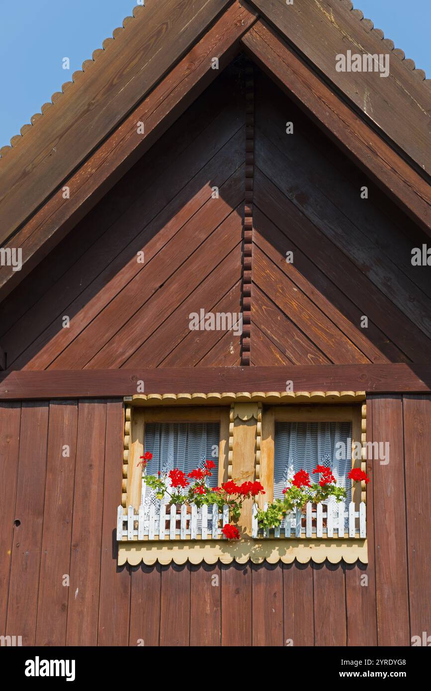 Nahaufnahme eines Holzfensters mit roten Blumen unter blauem Himmel, Giebeldach, altes Holzhaus, Vesec u Sobotky, Naturschutzgebiet des Dorfes, LiboTovice, Libos Stockfoto