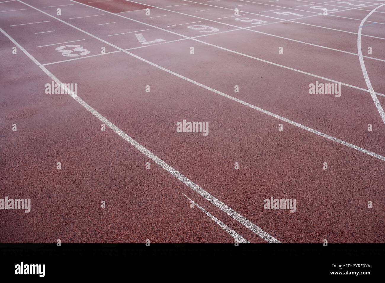 Nasssynthetische Bahn im Leichtathletikstadion Stockfoto