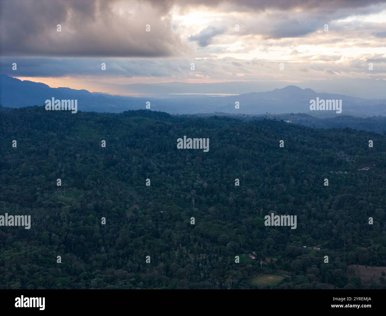 Weite grüne Wälder erstrecken sich über sanfte Hügel unter bewölktem Himmel, während die Sonne über dem Horizont untergeht. Stockfoto