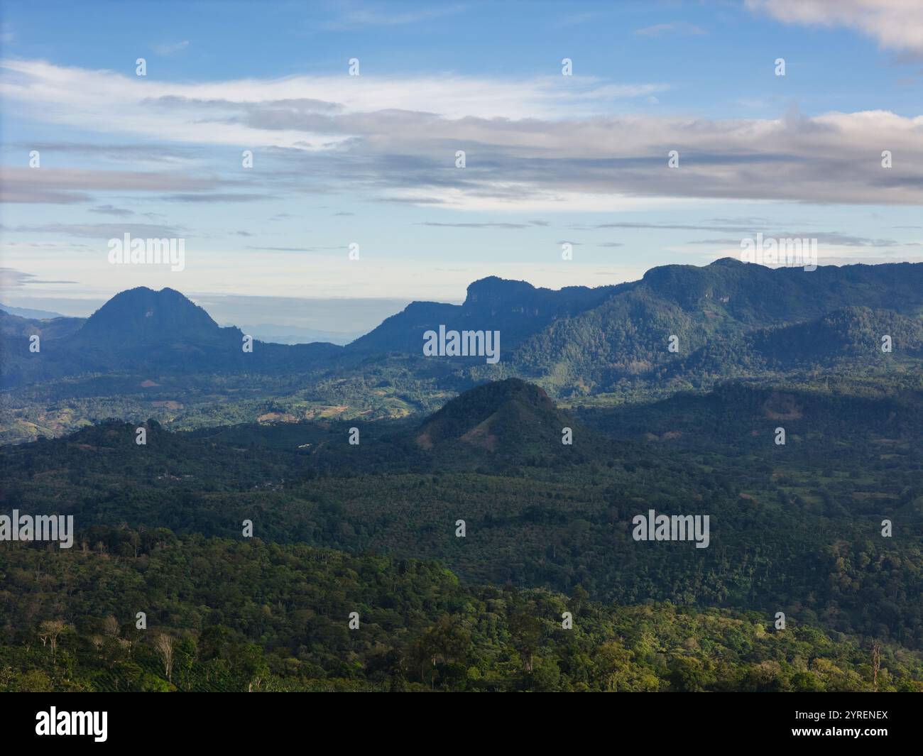 Üppige grüne Berge erstrecken sich über den Horizont, in sanftem Sonnenlicht getaucht und zeigen die Schönheit der Natur. Stockfoto