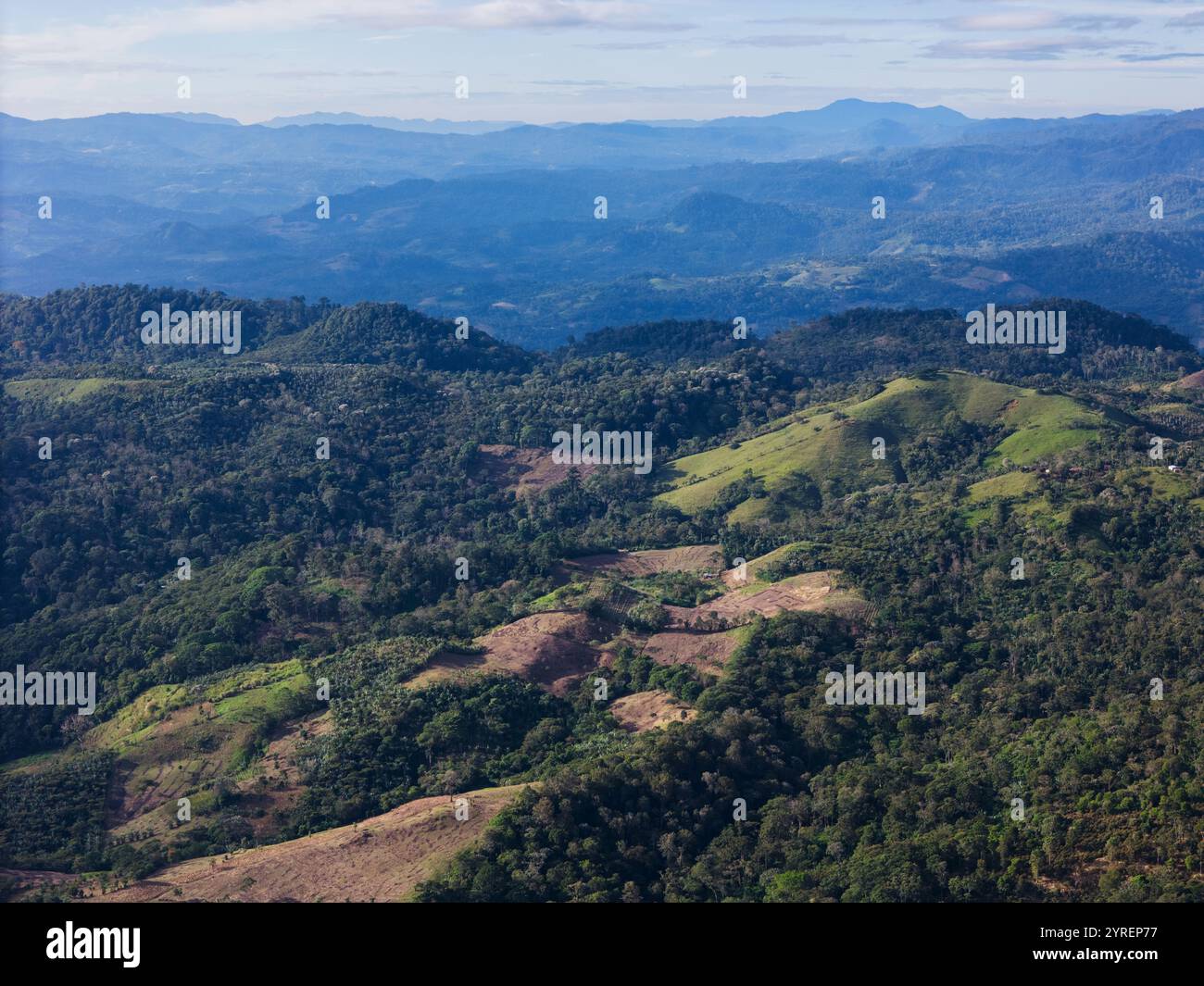 Aus der Vogelperspektive werden weite grüne Hügel und Berge mit sichtbaren Stellen der Abholzung bei Tageslicht erfasst. Stockfoto