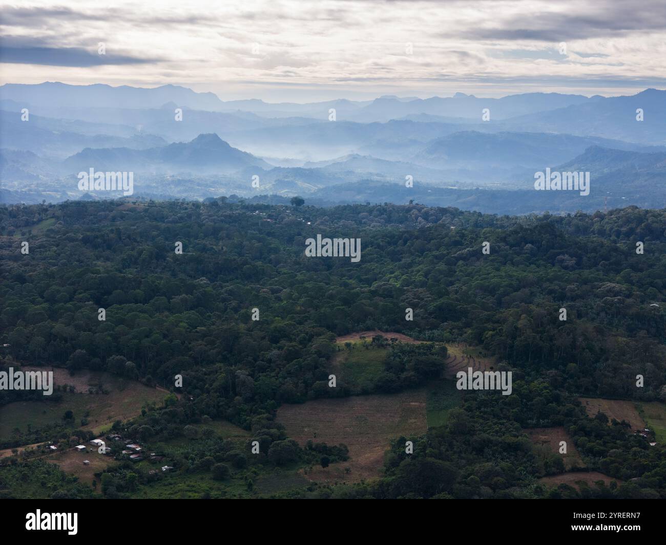 Atemberaubender Blick auf sanfte Hügel, bedeckt mit dichtem Grün unter bewölktem Himmel während der frühen Morgenstunden. Stockfoto
