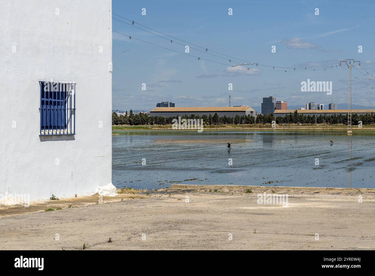 Der Albufera-Nationalpark (Parc Natural de l’Albufera) ist ein Naturschutzgebiet in Spanien, Provinz Valencia, Spanien, Europa. Stockfoto