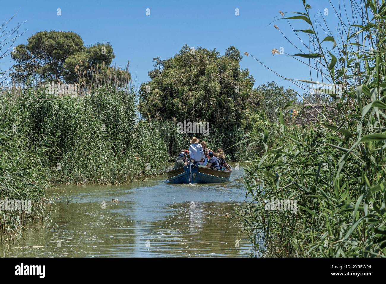 Der Albufera-Nationalpark (Parc Natural de l’Albufera) ist ein Naturschutzgebiet in Spanien, Provinz Valencia, Spanien, Europa. Stockfoto