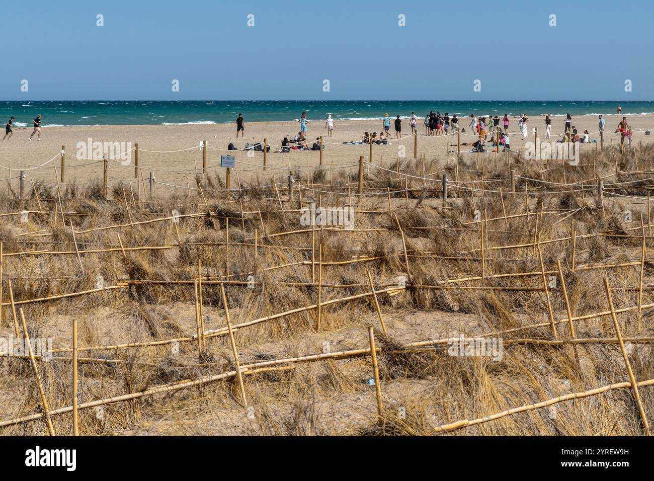 Der Albufera-Nationalpark (Parc Natural de l’Albufera) ist ein Naturschutzgebiet in Spanien, Provinz Valencia, Spanien, Europa. Stockfoto