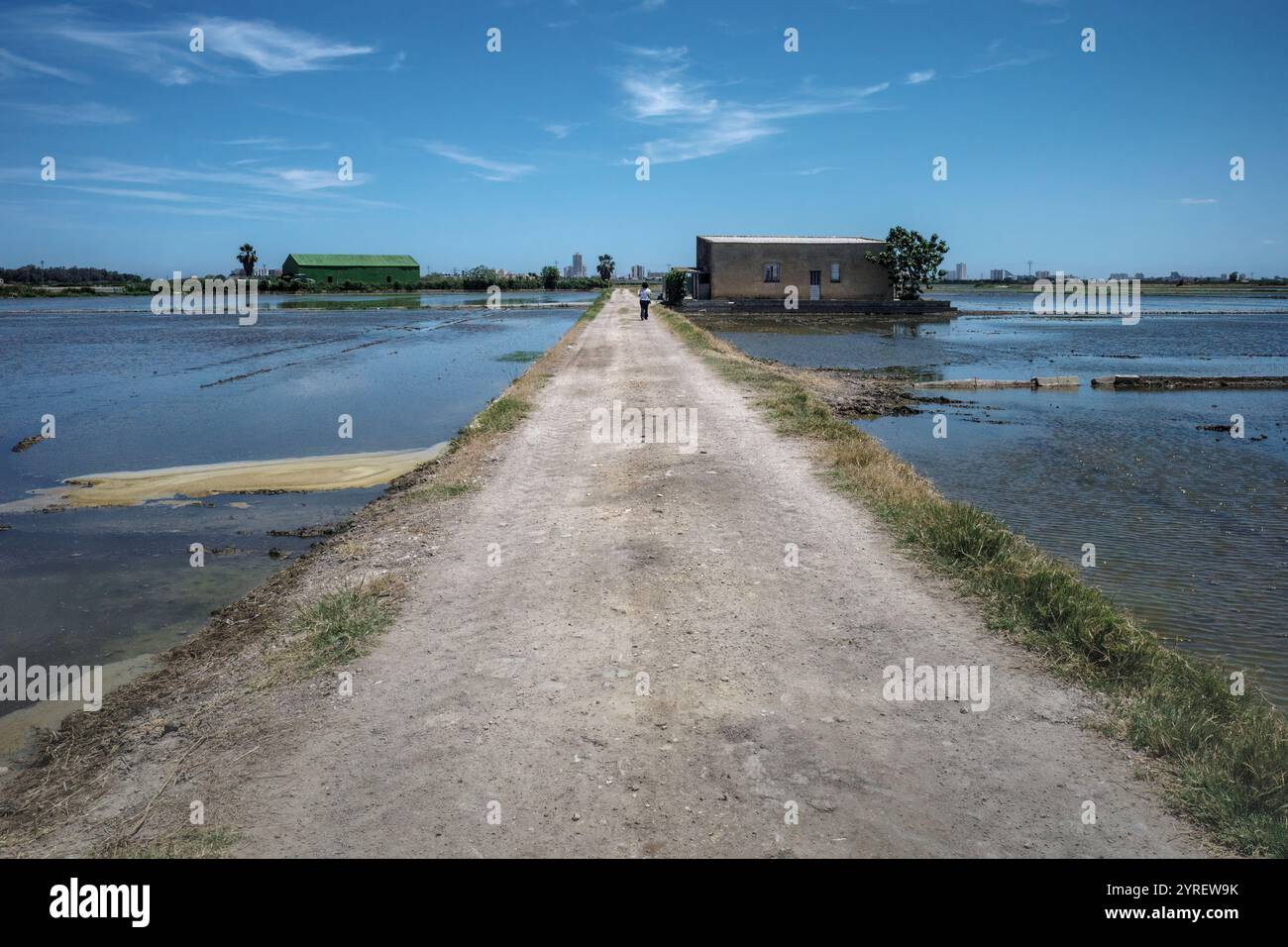 Der Albufera-Nationalpark (Parc Natural de l’Albufera) ist ein Naturschutzgebiet in Spanien, Provinz Valencia, Spanien, Europa. Stockfoto