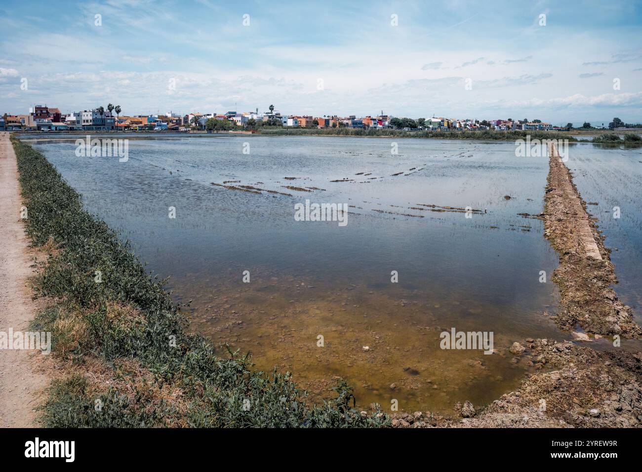 Der Albufera-Nationalpark (Parc Natural de l’Albufera) ist ein Naturschutzgebiet in Spanien, Provinz Valencia, Spanien, Europa. Stockfoto