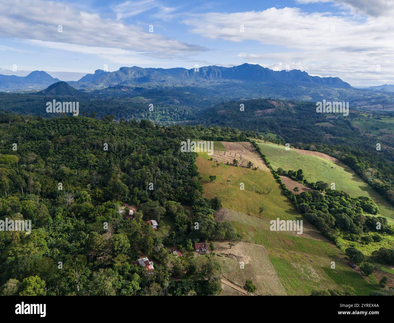 Grüner Wald trifft bei Tageslicht auf bewirtschaftete Felder in wunderschöner Berglandschaft. Stockfoto
