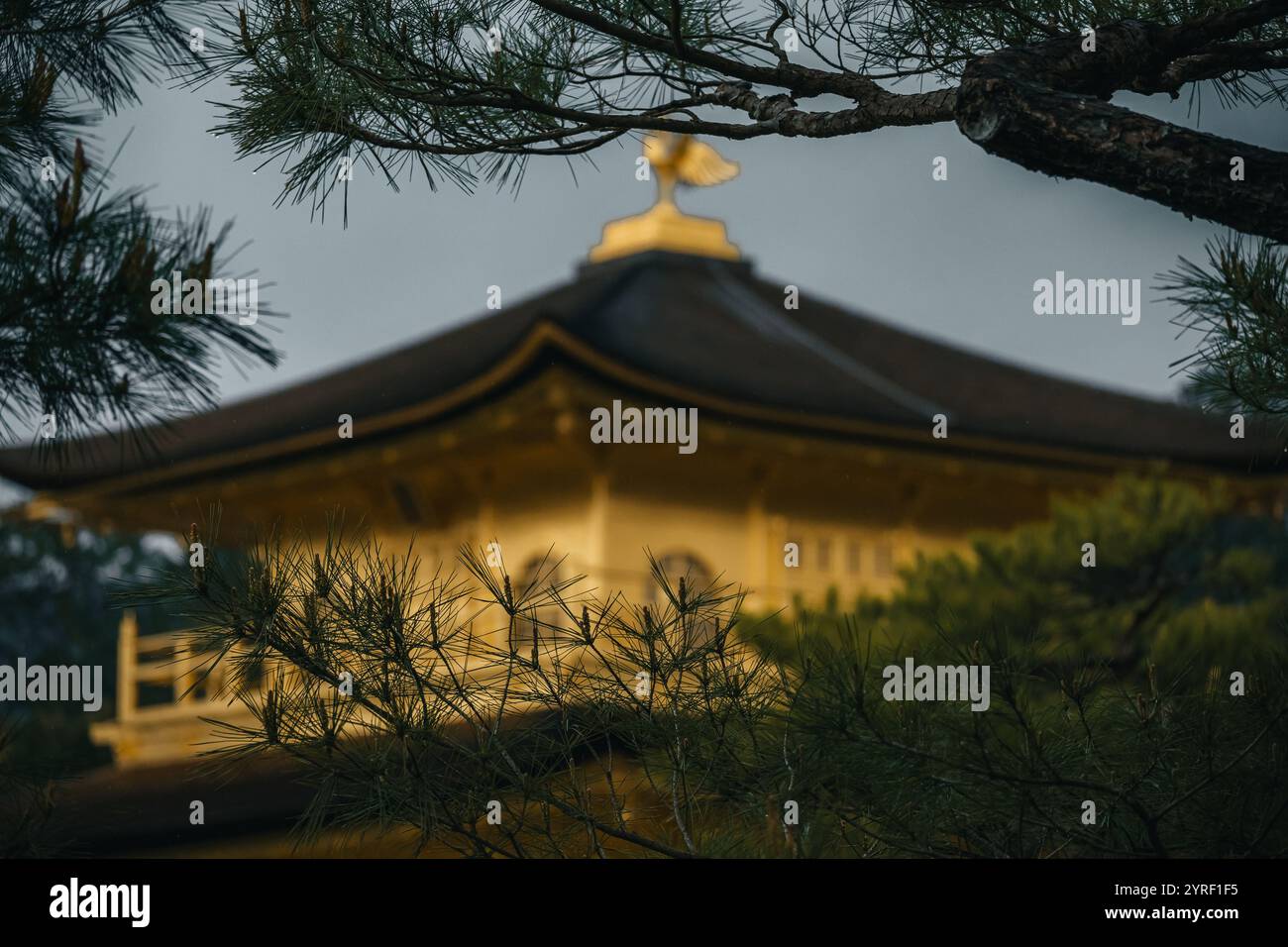 Der Tempel des Goldenen Pavillons in Kyoto, bekannt als Kinkaku-JI, ist ein atemberaubendes Beispiel japanischer Architektur und Zen-buddhistischer Kultur. Stockfoto