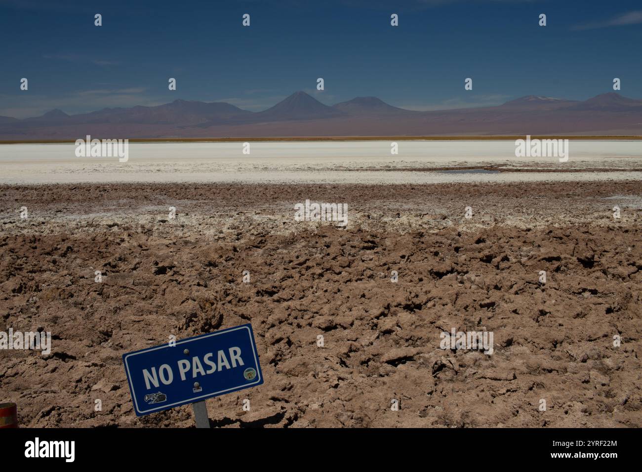 Schild „No Pasar“ vor Felsformationen in Ojos del Salar, Atacama-Wüste, Chile Stockfoto