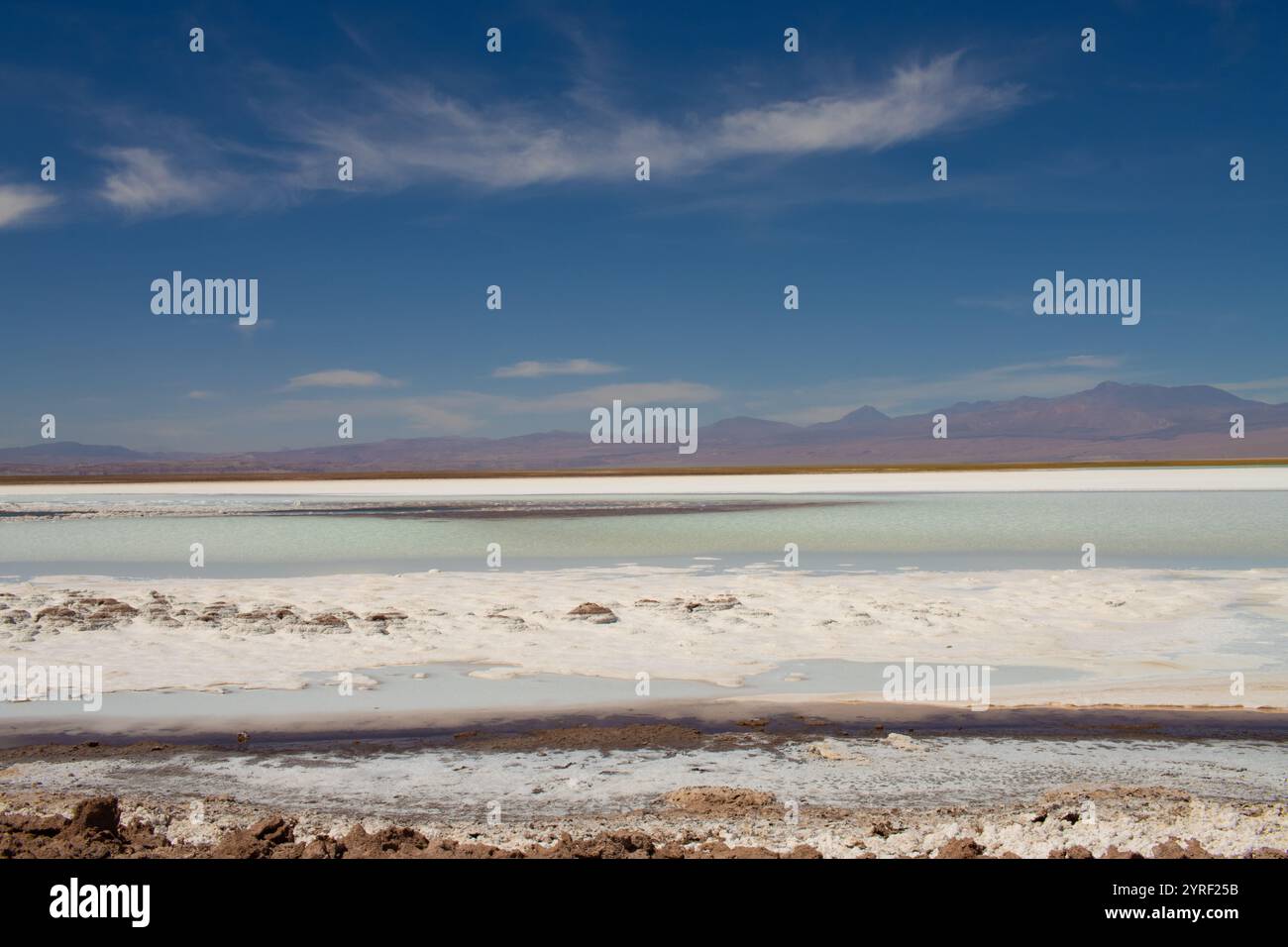 Panoramablick auf eine Lagune in der Atacama-Wüste, Chile, mit dem Vulkan Licancabur und den Andenbergen im Hintergrund unter einem klaren blauen Himmel. Stockfoto