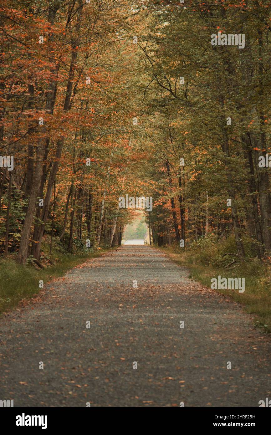 Ein malerischer Herbstspaziergang in den Catskills unter einem Baumdach Stockfoto