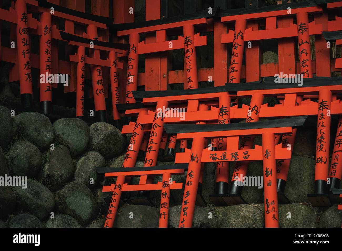 Die berühmten Torii-Tore in Japan stellen eine spirituelle Passage dar und bieten einen atemberaubenden Blick auf die traditionelle japanische Kultur und das Erbe. Stockfoto