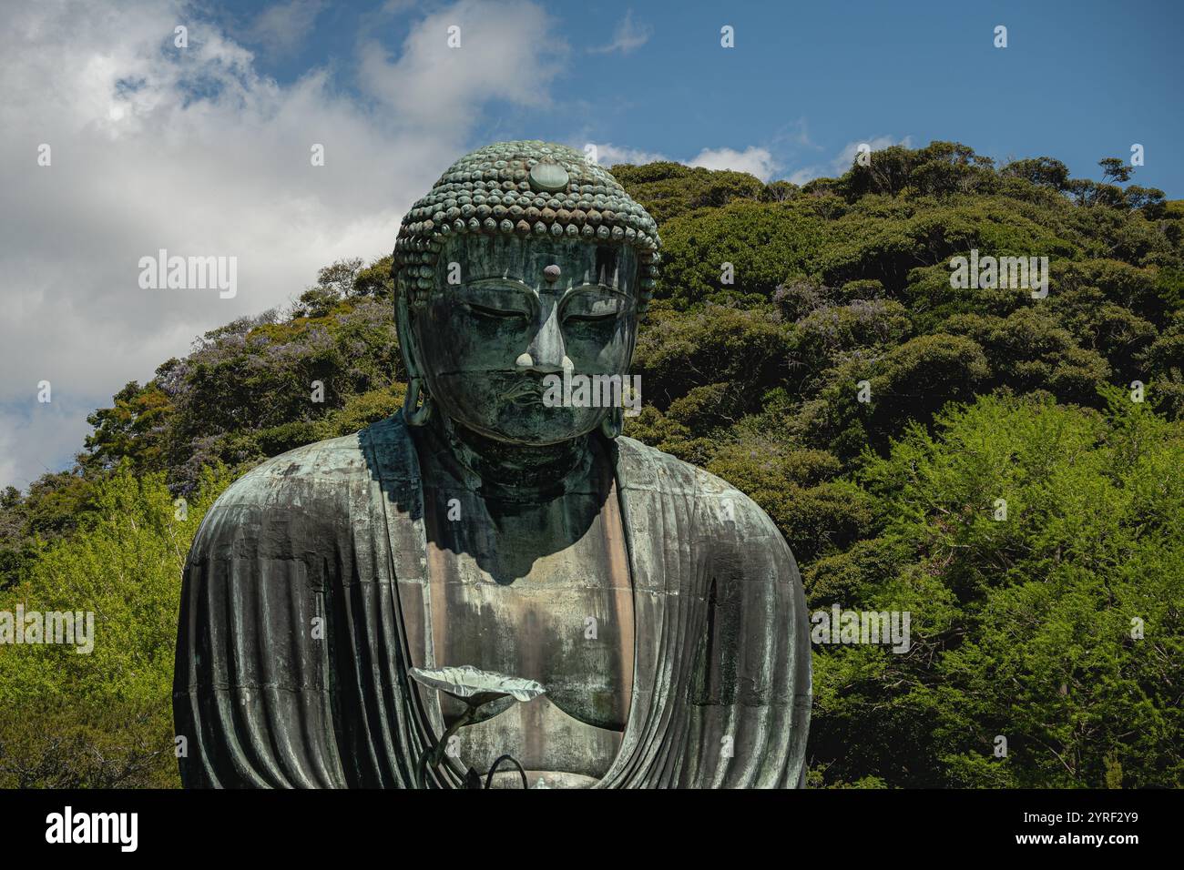 Die ikonische Buddha-Statue in Kamakura, Japan, steht majestätisch und verkörpert Frieden und Gelassenheit, ein Symbol für Japans kulturelles und spirituelles Erbe Stockfoto