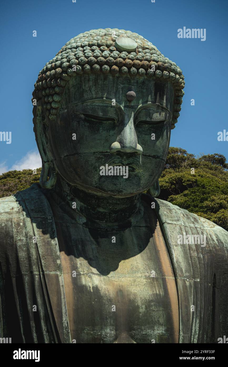 Die ikonische Buddha-Statue in Kamakura, Japan, steht majestätisch und verkörpert Frieden und Gelassenheit, ein Symbol für Japans kulturelles und spirituelles Erbe Stockfoto