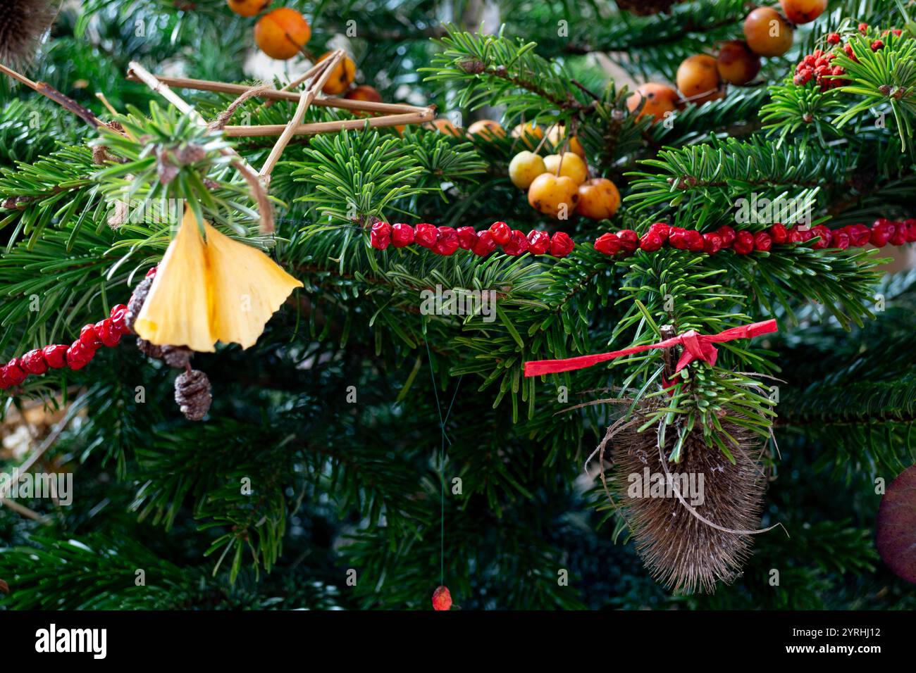 Weihnachtsbaum dekoriert mit Artikeln aus der Natur, Großbritannien Stockfoto