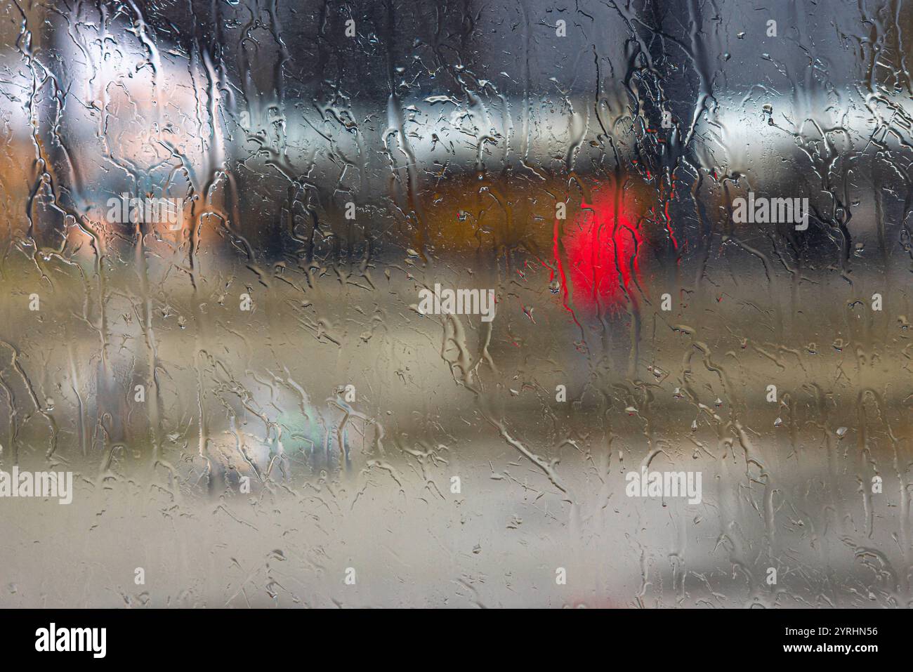 Ein Blick aus dem Fenster Berlin, 28. November 2024: Unangemehmes Wetter in der Stadt. Fotografiert aus dem Bus durch das regennasse Fenster während der Fahrt in die Innenstadt. *** Ein Blick aus dem Fenster Berlin, 28. November 2024 unangenehmes Wetter in der Stadt fotografiert vom Bus durch das regengetränkte Fenster während der Fahrt in die Innenstadt Stockfoto