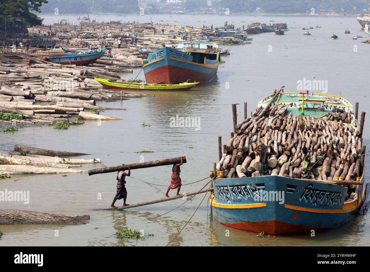 Swarupkathi, Pirojpur, Bangladesch. Dezember 2024. Auf dem größten schwimmenden Holzmarkt Bangladeschs in Swarupkathi im Bezirk Pirojpur tragen die Arbeiter große Holzstämme auf den Schultern. Das Gewicht jedes Stammes liegt zwischen 50 kg und 400 kg. Etwa 10.000 Arbeiter arbeiten auf diesem Holzmarkt und können 0 bis 5 pro Tag für diese harte Arbeit verdienen. Der Markt bietet eine große Auswahl an einheimischen Hölzern, darunter Mahagoni, Champagner und raintree. Händler aus dem ganzen Land kaufen auf diesem Upazila-Markt Holz im Wert von eineinhalb bis zwei Mrd. BDT. Diese Hölzer werden dann über V durch das ganze Land transportiert Stockfoto