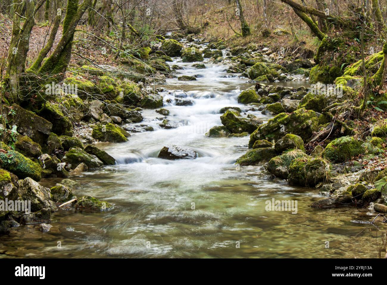 Wasserfall im Wald die Schlucht der Hölle Borovnica, Slovenija, Landschaft, Stein, Fall, creek, Kaskade, Grün, Fluss, Berg, Felsen, fließend, Park, Stockfoto