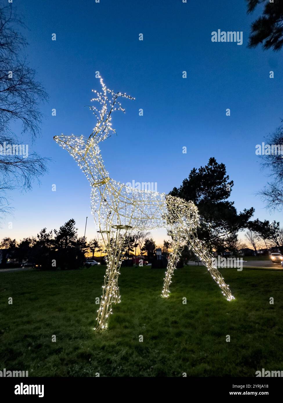 Große beleuchtete weihnachts-Rentier-Skulptur auf einem grünen Rasen mit einem Dämmerhimmel und Bäumen im Hintergrund ashington northumberland Stockfoto