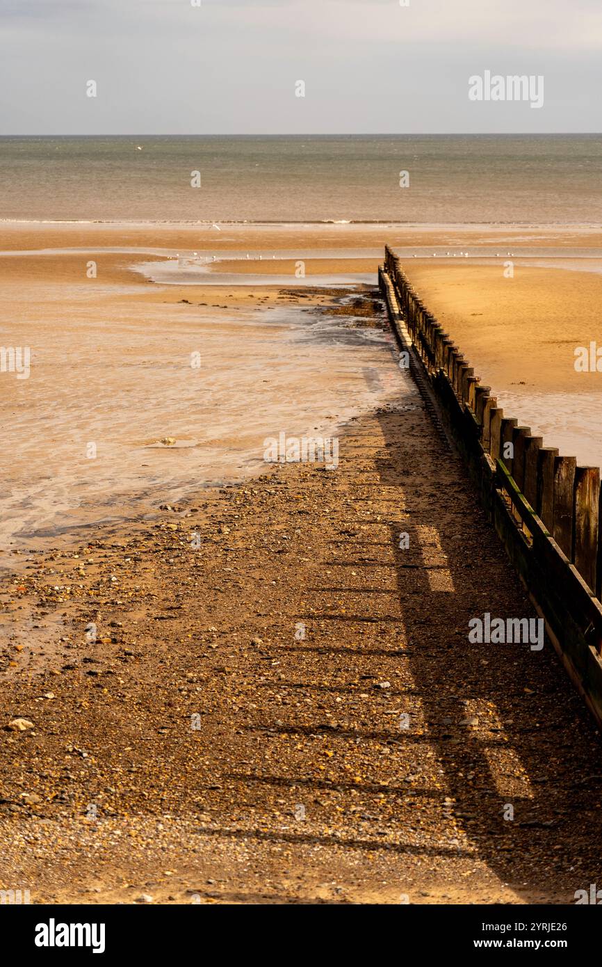 Holzgegend und ihr Schatten erstrecken sich entlang eines Sand- und Kieselstrandes bis zum Meer Stockfoto