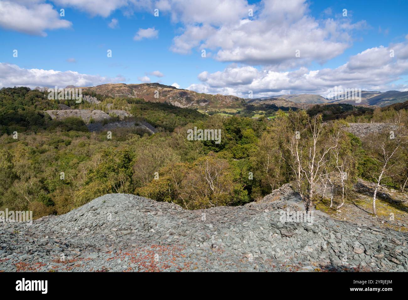 Landschaft zwischen Hodge Close Steinbruch und Little Langdale nördlich von Coniston im Lake District Nationalpark. Stockfoto