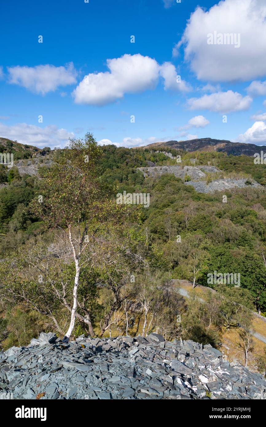 Landschaft zwischen Hodge Close Steinbruch und Little Langdale nördlich von Coniston im Lake District Nationalpark. Stockfoto