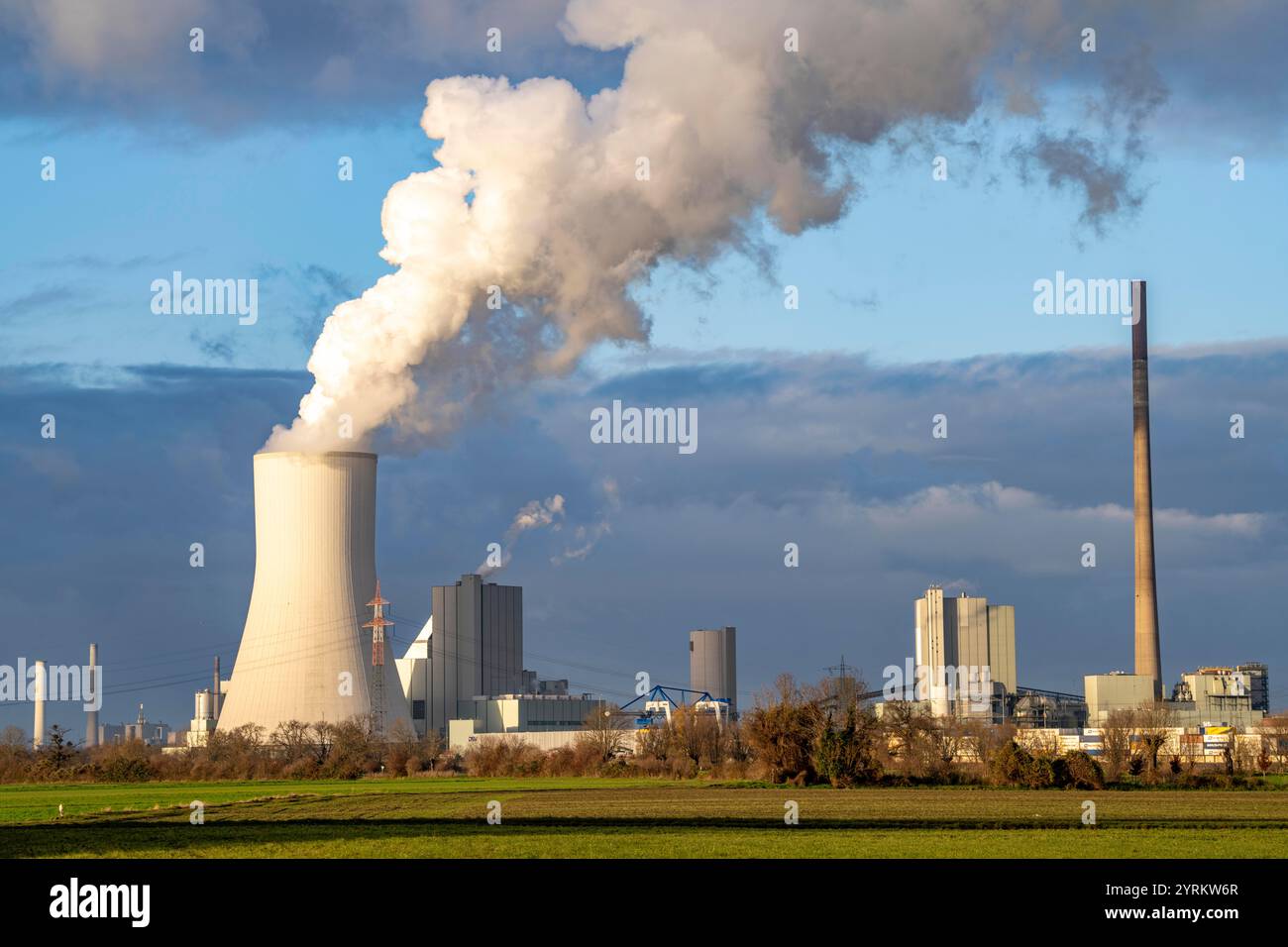 Das STEAG Kohlekraftwerk Duisburg-Walsum, auf dem Gelände der ehemaligen Zeche Walsum, am Rhein, Block 10 in Betrieb, 181 Meter hohe Kooline Stockfoto