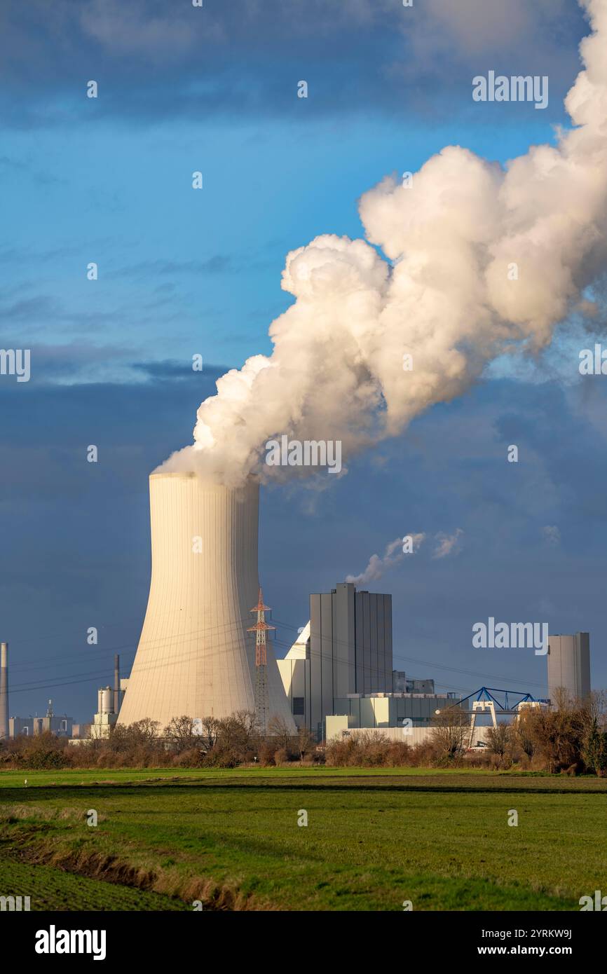 Das STEAG Kohlekraftwerk Duisburg-Walsum, auf dem Gelände der ehemaligen Zeche Walsum, am Rhein, Block 10 in Betrieb, 181 Meter hohe Kooline Stockfoto