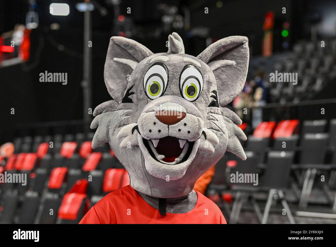 Ehf em 2024 für damen Fotos und Bildmaterial in hoher Auflösung Alamy