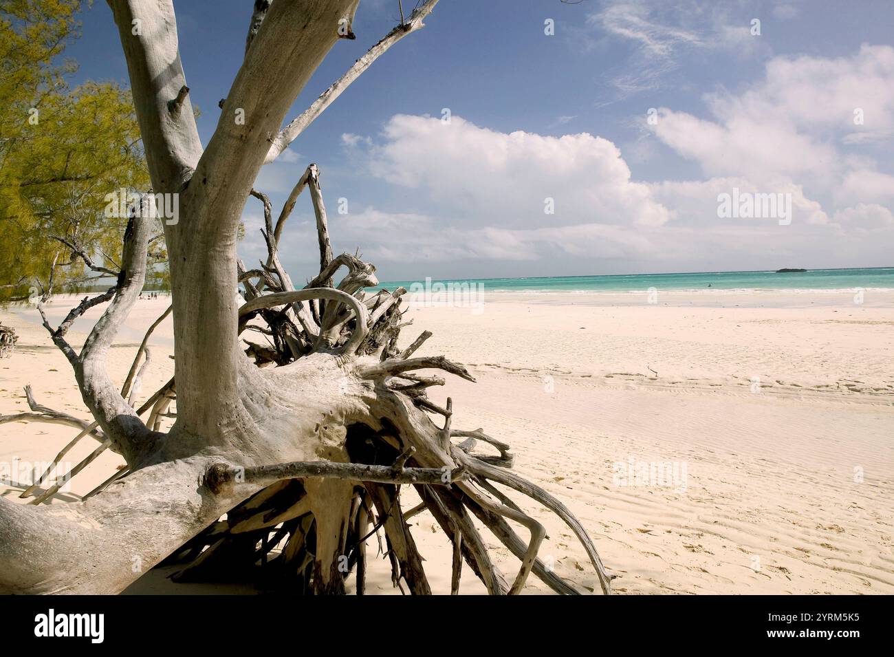 Bahamas, Grand Bahama Island, Eastern Side: Lucayan National Park, Gold Rock Beach Stockfoto