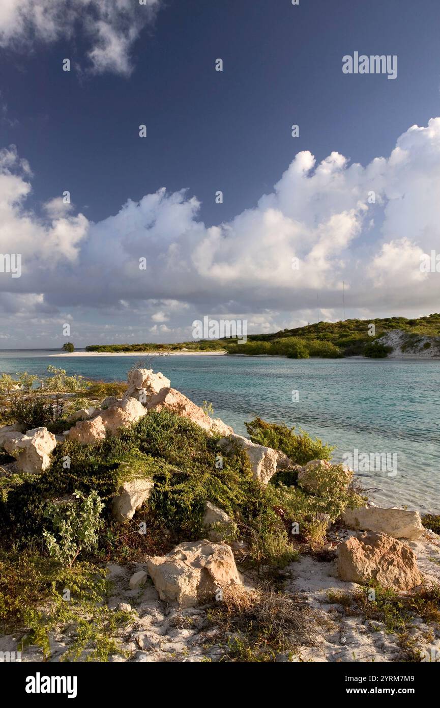 Turks & Caicos, Grand Turk Island, Cockburn Town: North Creek am frühen Morgen Stockfoto