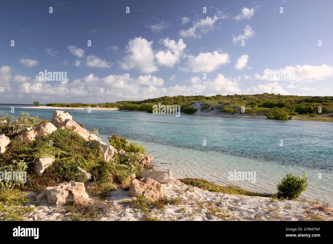 Turks & Caicos, Grand Turk Island, Cockburn Town: North Creek am frühen Morgen Stockfoto