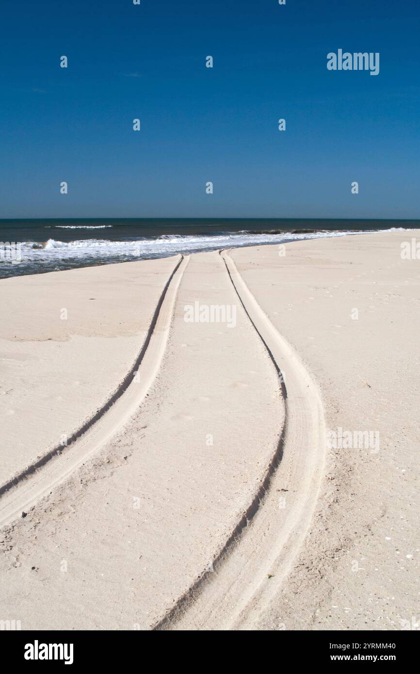 USA, New York, Long Island, The Hamptons, Westhampton Beach, Spuren Auto im sand Stockfoto