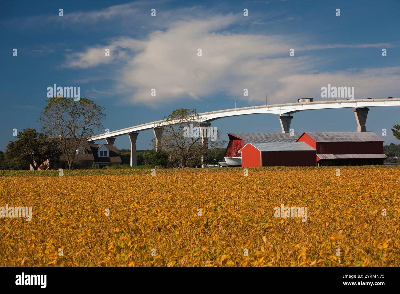 USA, Maryland, Western Shore der Chesapeake Bay, Solomons, Patuxent River Bridge und Bauernhof Stockfoto