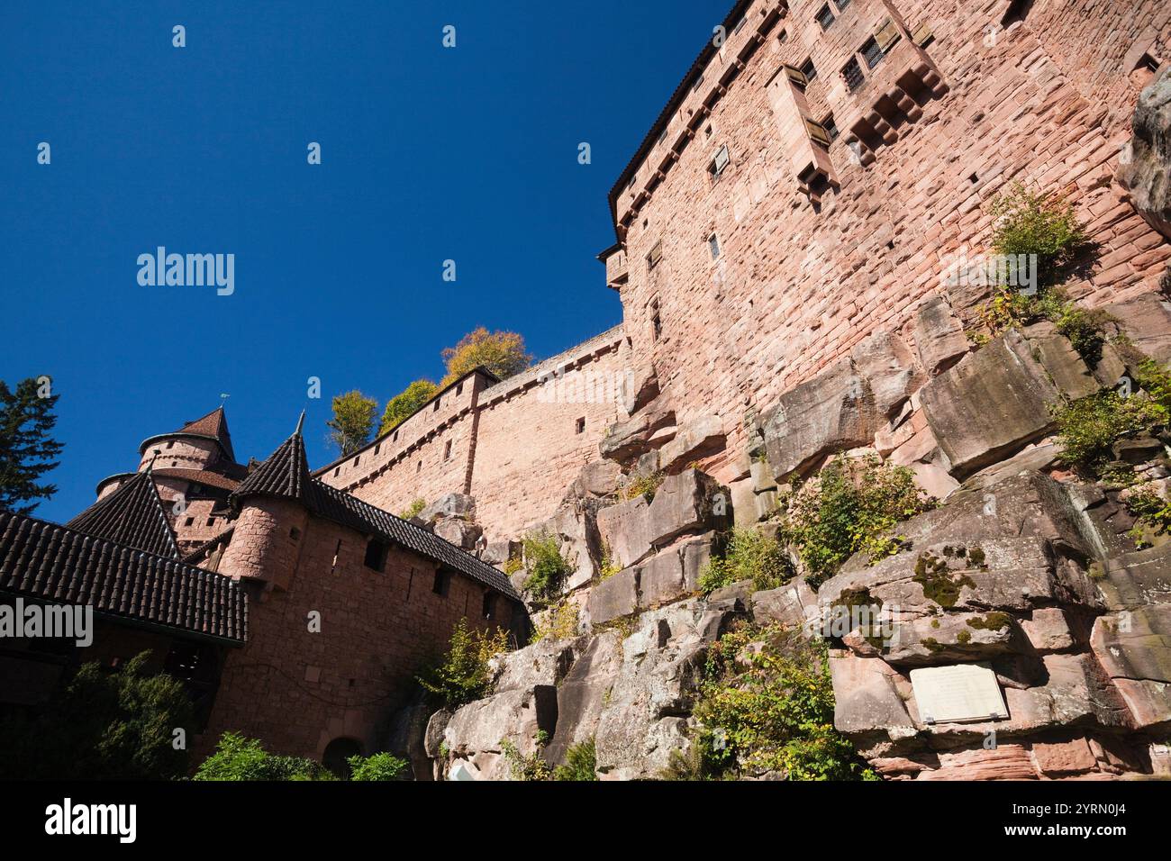 Frankreich, Haut-Rhin, Elsass, Alasatian Weinstraße, Haut Koenigsbourg Schloss, außen Stockfoto