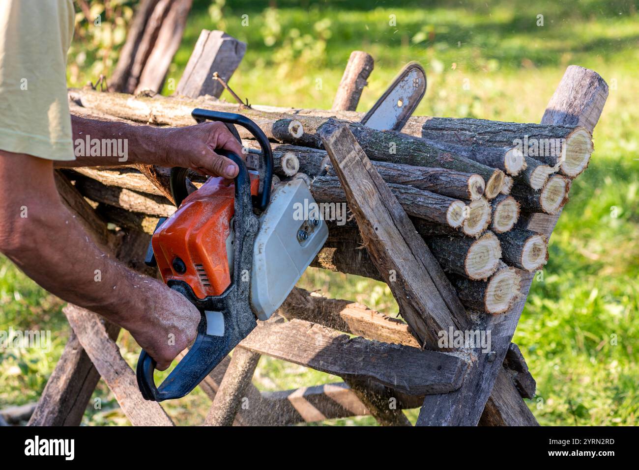 Nahaufnahme einer Kettensäge in den Händen eines Holzfällers beim Schneiden von Brennholz. Stockfoto