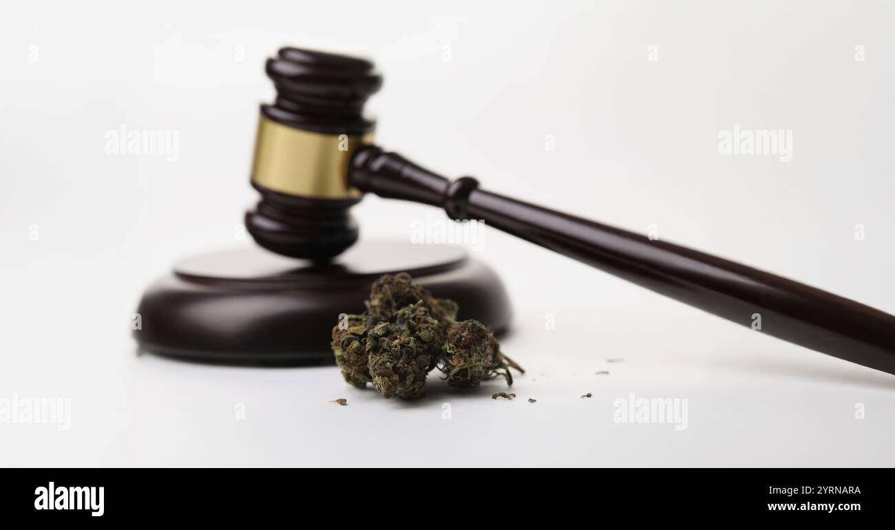 Cannabiskrautknospen und -gavel als Symbol für die Legalisierung von Marihuana Stockfoto