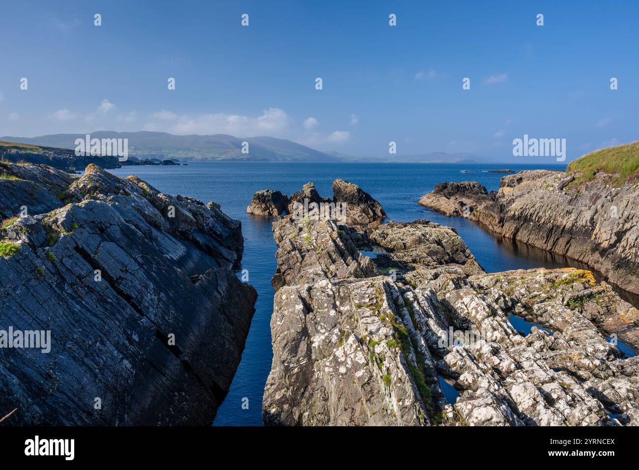 Steil eintauchende, fast senkrechte Betten aus devonischem Sandstein (Old Red Sandstone) in Ballydonegan Bay, Allihies, Beara, County Cork, Irland Stockfoto