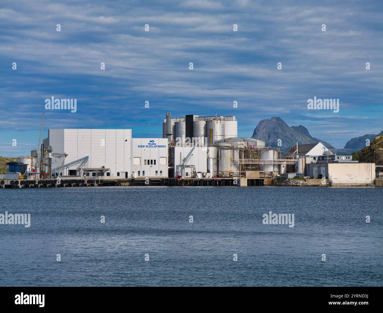 Bodo, Norwegen - 18. Juni 2024: Die Produktionsanlage von Pelagia Bodø Sildoljefabrikk in Bodo, Norwegen. In der Fabrik werden Fischmehl, Fischöl, flüssigfilet hergestellt Stockfoto