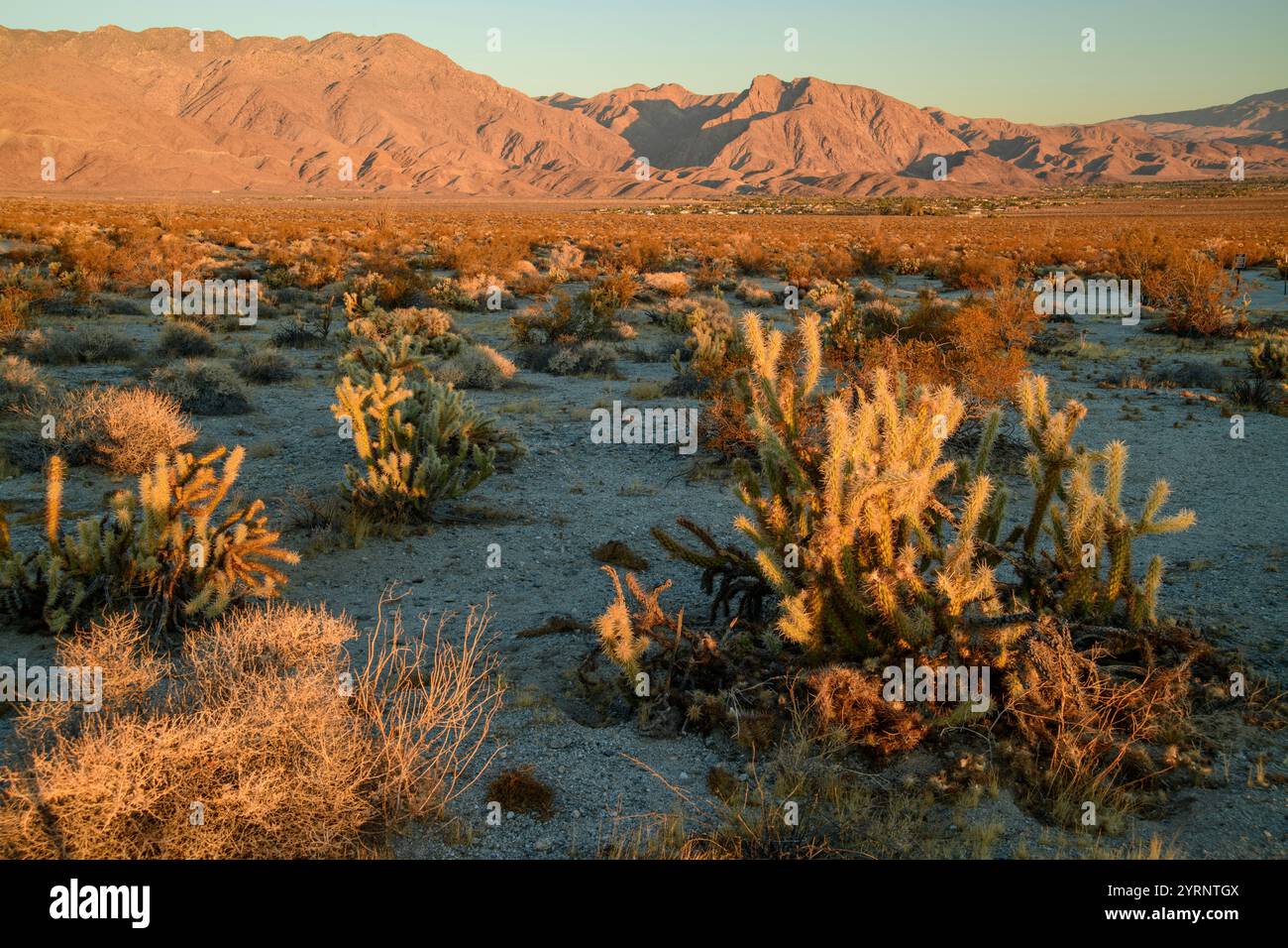 USA, Kalifornien, Mojave Desert, Borrego Springs, Stockfoto
