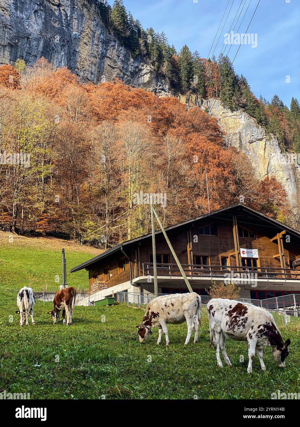 Schöne Reise in die Schweiz - Smartphone-aufgenommenes Stockfoto