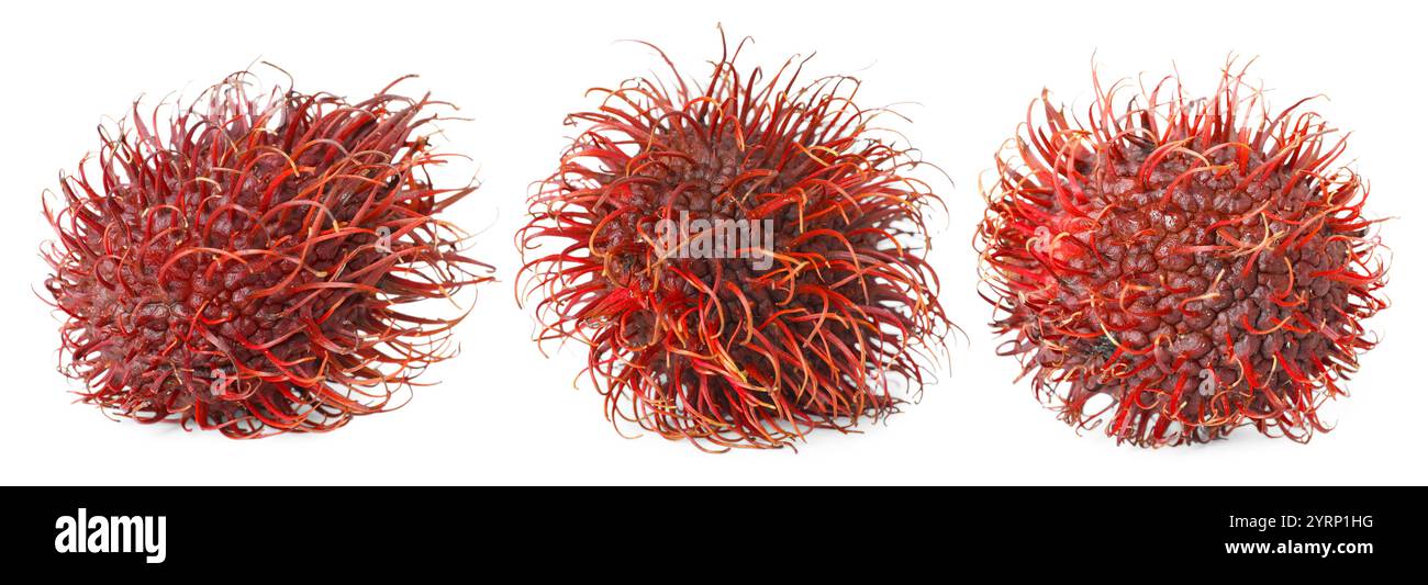 Frische ungeschälte Rambutan-Früchte isoliert auf weiß, Set Stockfoto