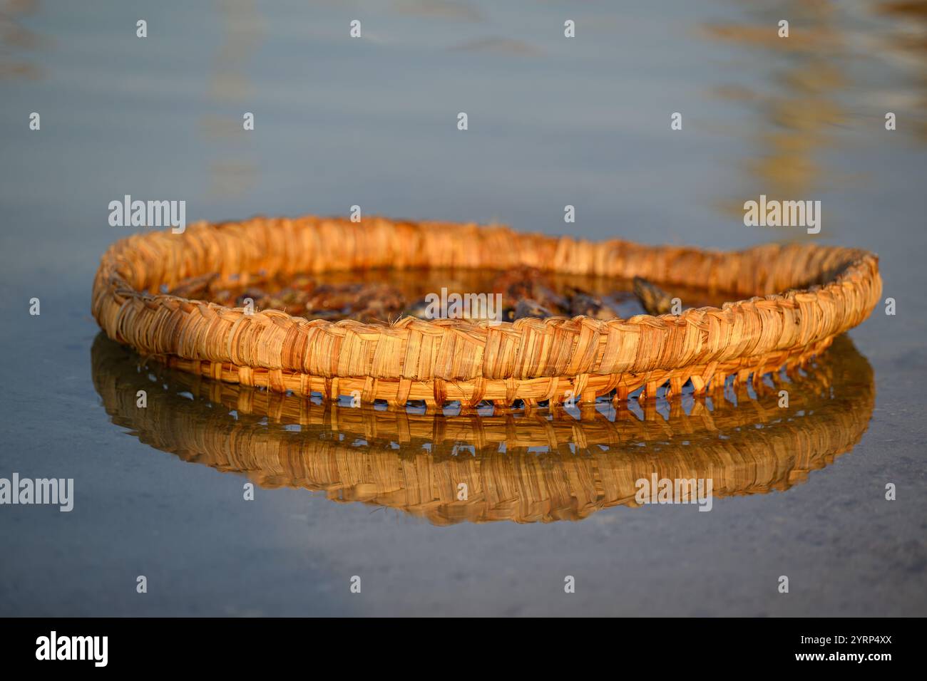Katara 14. Traditionelles Dhow-Festival Stockfoto