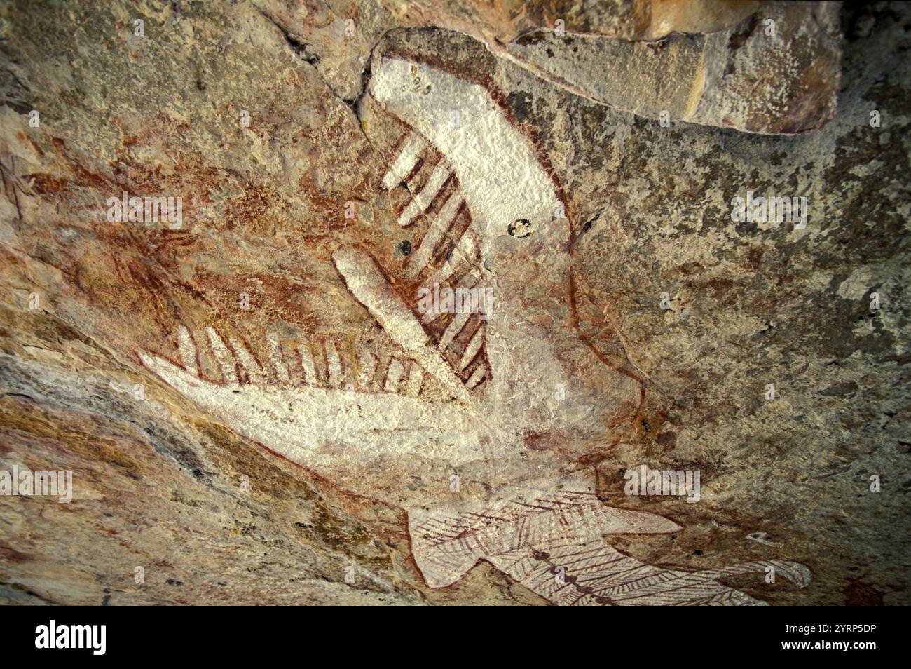 Australien, Northern Territory, Arnhemland, Mount Borradaile, Rock Art Der Aborigines, heilige Stätte, Regenbogenschlange Stockfoto