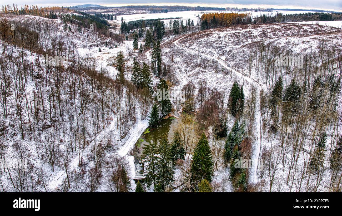 Luftbildaufnahme Güntersberge Harz Selketal Stockfoto