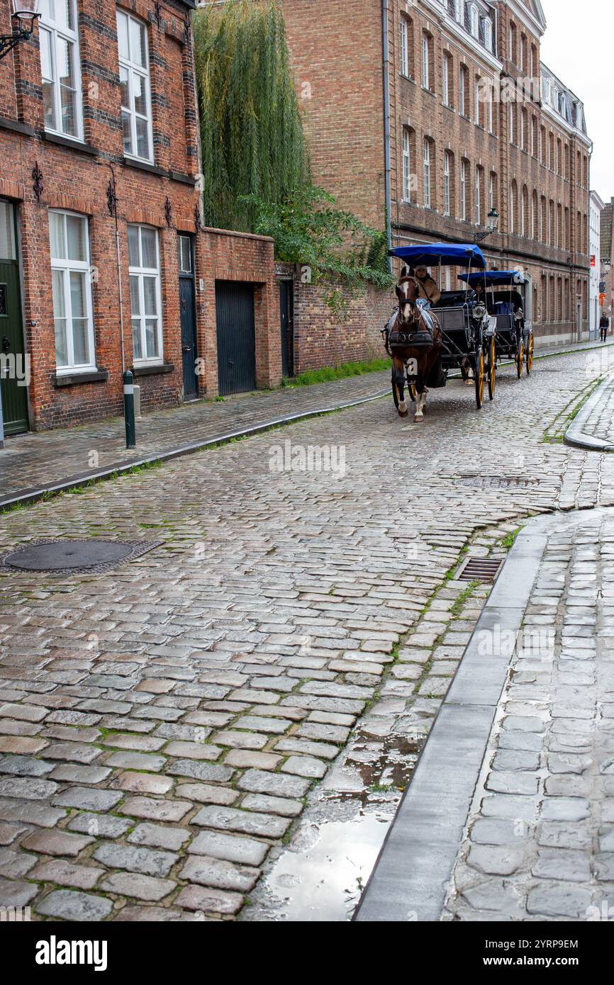 Brügge (Brügge), Belgien - 17. Oktober 2022 Stockfoto