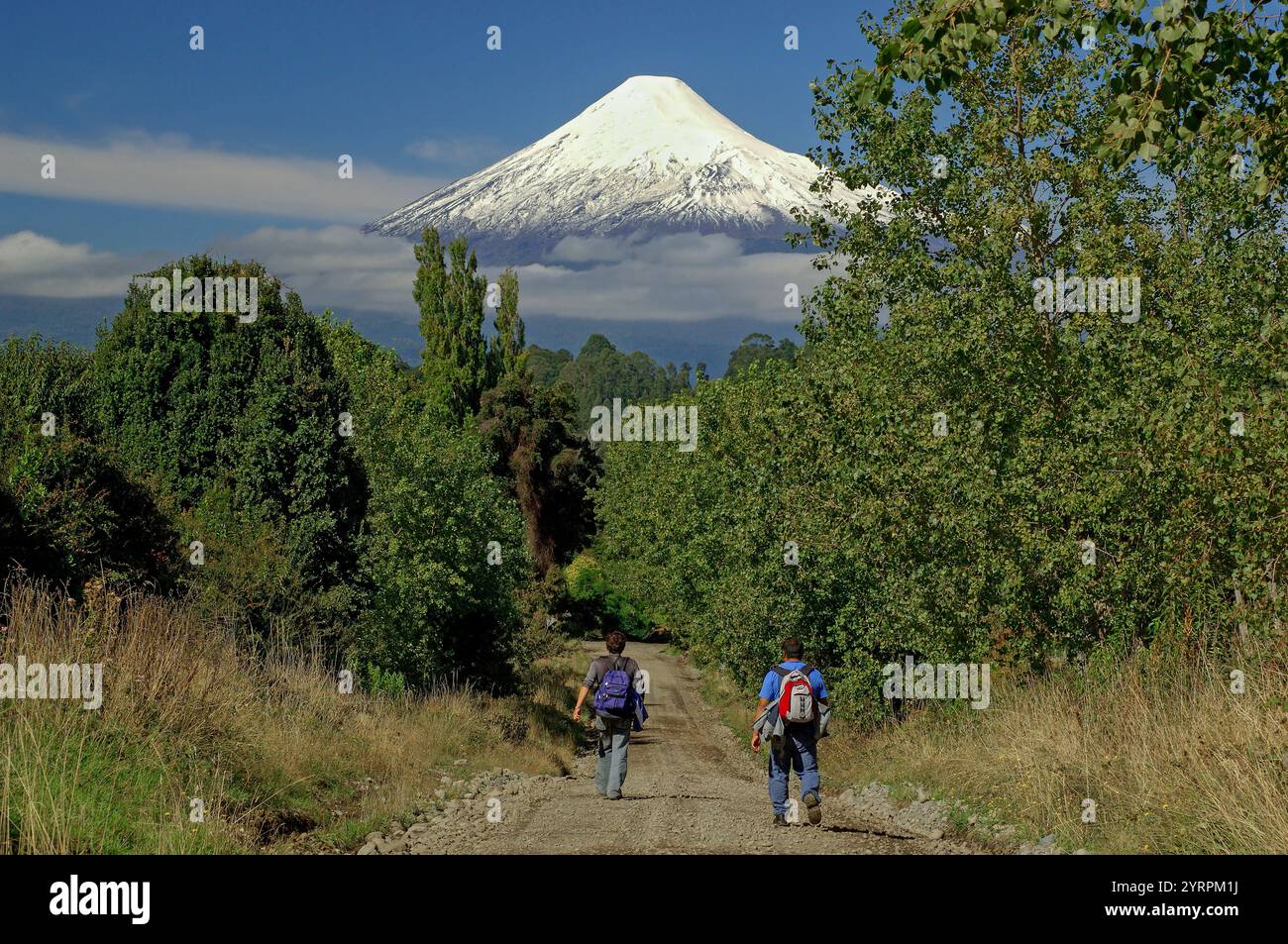 Südamerika, Chile, Patagonien, Puerto Octay, Los Lagos, Volcan Osorno Stockfoto