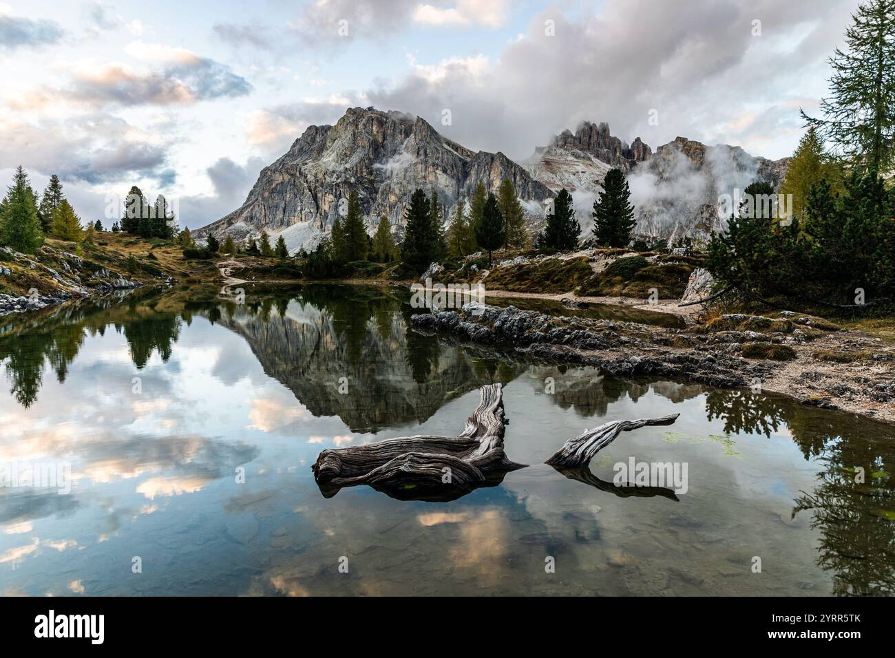 Kleiner See in den Dolomiten mit altem Zweig - Italien - Südtirol Stockfoto