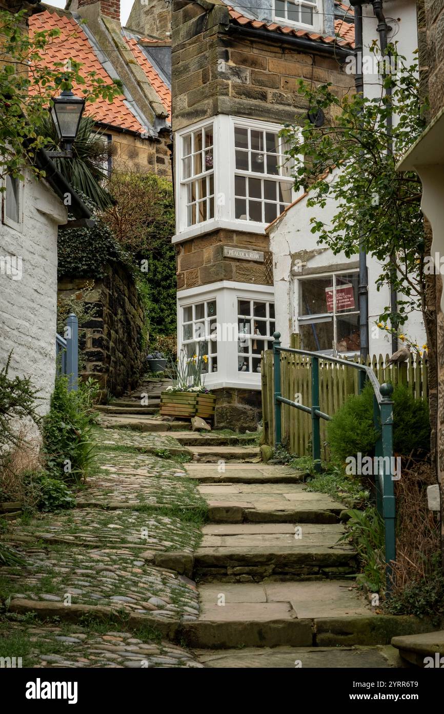 Die engen Gassen von Robin Hoods Bay bei Nacht Stockfoto